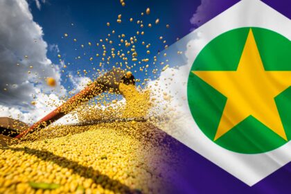 mato grosso