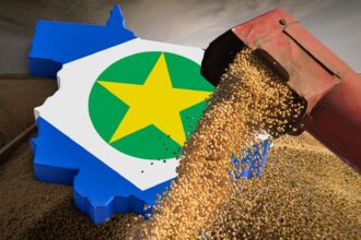 Soja em Mato Grosso previsão do tempo