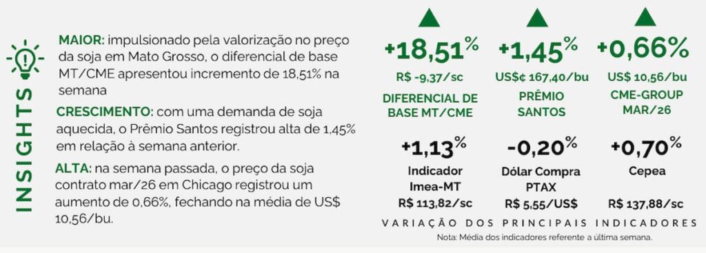 Déficit de Armazenagem em MT: um entrave silencioso ao potencial agrícola