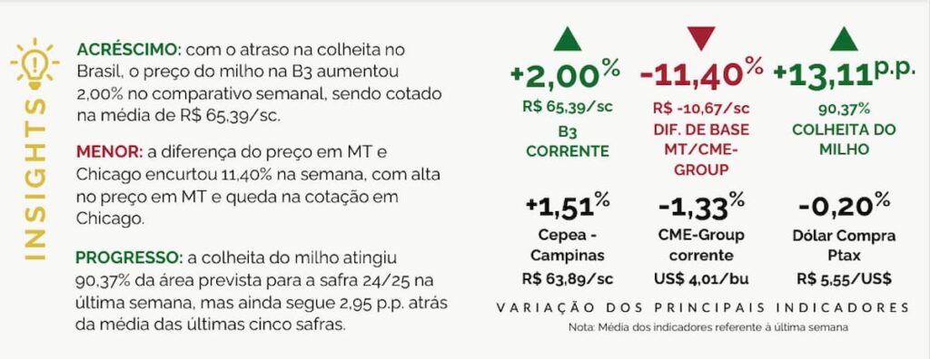 Volatilidade no milho sob pressão do mercado financeiro