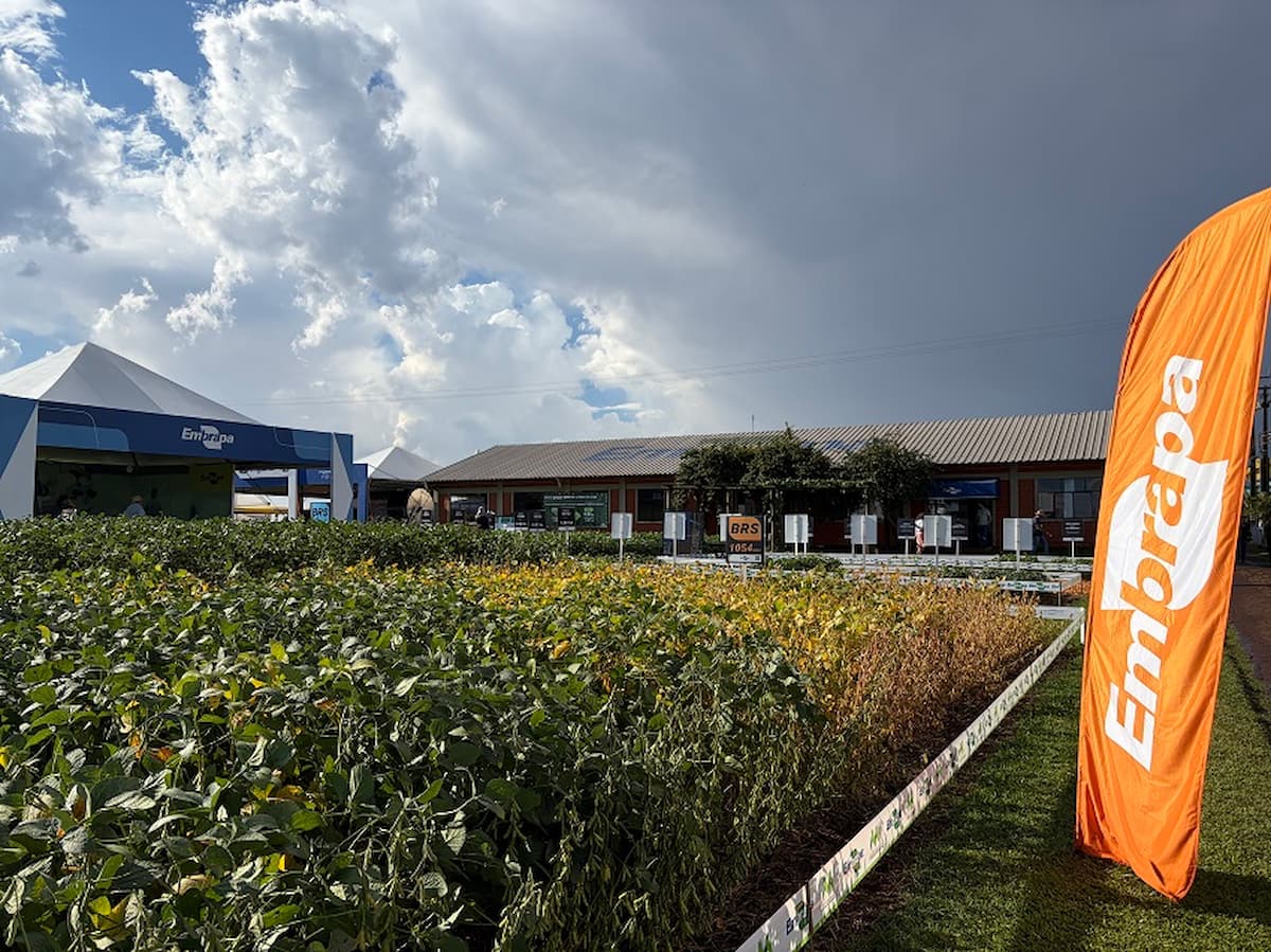 Com mais de 61 mil visitantes, Show Rural quebra recorde histórico e dita o rumo da safra 26