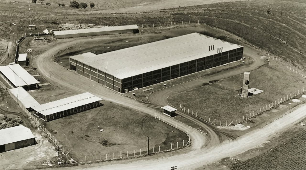 Ex-garçom salva fábrica do agro e cria gigante global