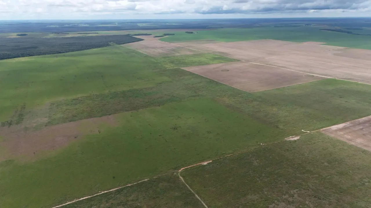 Guerra no Irã e soja em baixa criam "liquidação" de terras em Mato Grosso
