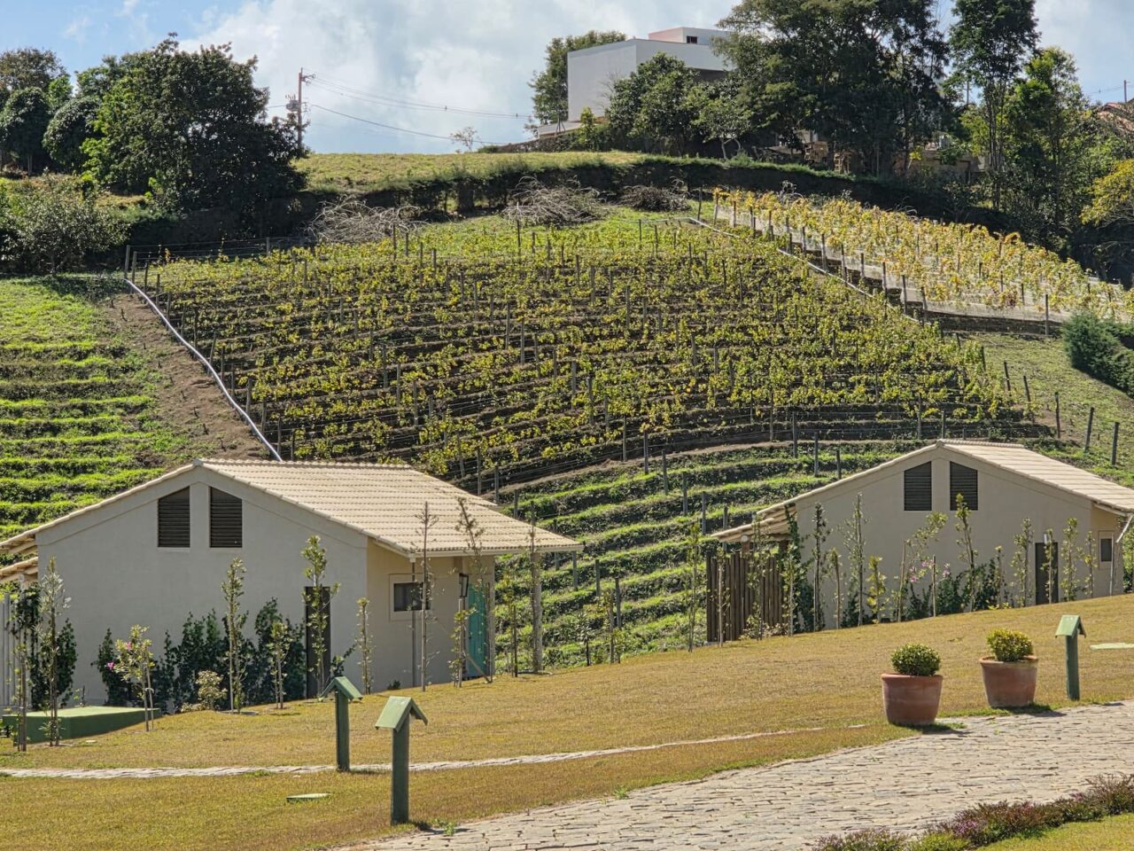 Um Espírito Santo de braços abertos para o Brasil