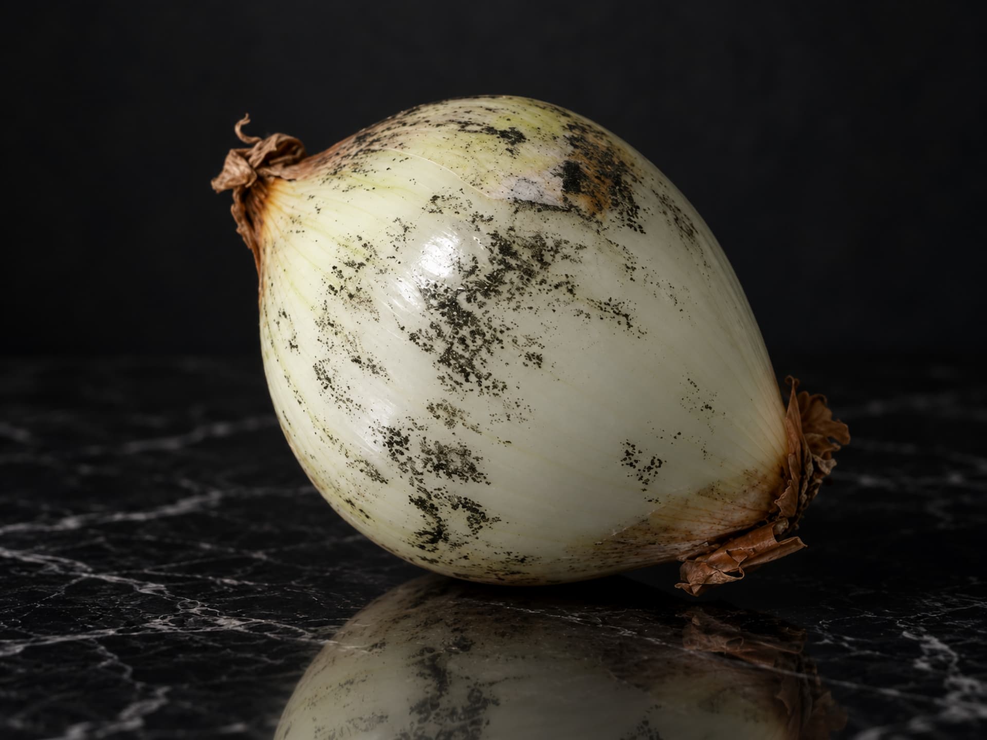 Pó preto na cebola não é sujeira, mas sim um fungo perigoso; O que a ciência tem a dizer